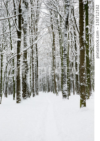 Winter forest and the road. Winter landscape Winter forest and the road. Winter landscape 138712582