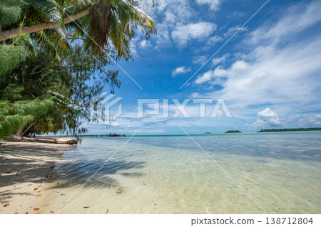 Palm trees, a pier, the blue sea, and beautiful beaches: Palau's Kaap Island. 138712804