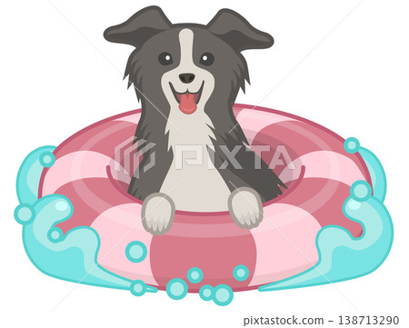 Vector illustration of a Border Collie playing in the water with a swimming ring. Vector illustration of a Border Collie playing in the water with a swimming ring. 138713290