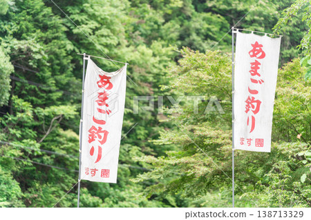A flag for trout fishing flutters amidst the fresh green leaves. 138713329