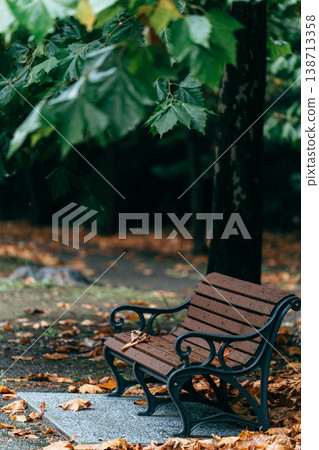 雨中的公園長椅和落葉 138713358
