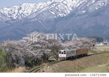 山形縣白鷹町,最上川沿岸的櫻花與花之長井線列車交相輝映 山形縣白鷹町,最上川沿岸的櫻花與花之長井線列車交相輝映 138713480