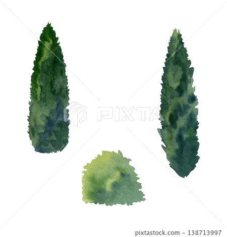 Tall cypress or poplar with narrow tapering crown and calm southern landscape mood. Hand drawn watercolor illustration for vineyard visuals, landscape, travel materials, sustainable design concepts. Tall cypress or poplar with narrow tapering crown and calm southern landscape mood. Hand drawn watercolor illustration for vineyard visuals, landscape, travel materials, sustainable design concepts. 138713997