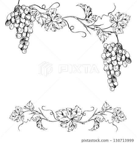 Ornamental vineyard frame with curling grapevine, grape bunches, spiraling tendril creepers. Isolated ink vector illustration. Hand drawn for wine posters, harvest festival menus, autumn branding. Ornamental vineyard frame with curling grapevine, grape bunches, spiraling tendril creepers. Isolated ink vector illustration. Hand drawn for wine posters, harvest festival menus, autumn branding. 138713999