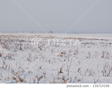 Snowy scenery of Notsuke Peninsula Snowy scenery of Notsuke Peninsula 138714199