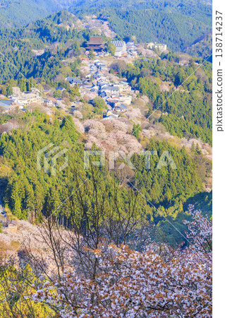 World heritage site in full bloom of cherry blossoms, Mt. Yoshino in the early morning World heritage site in full bloom of cherry blossoms, Mt. Yoshino in the early morning 138714237