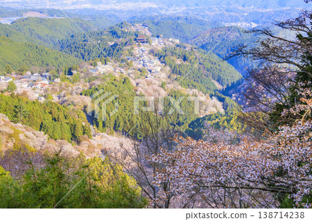World heritage site in full bloom of cherry blossoms, Mt. Yoshino in the early morning World heritage site in full bloom of cherry blossoms, Mt. Yoshino in the early morning 138714238
