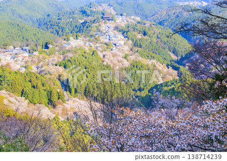 World heritage site in full bloom of cherry blossoms, Mt. Yoshino in the early morning World heritage site in full bloom of cherry blossoms, Mt. Yoshino in the early morning 138714239