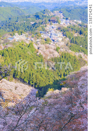 櫻花盛開的世界遺產,清晨的吉野山 櫻花盛開的世界遺產,清晨的吉野山 138714241