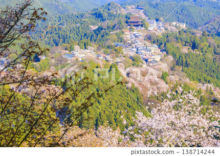 櫻花盛開的世界遺產,清晨的吉野山 櫻花盛開的世界遺產,清晨的吉野山 138714244