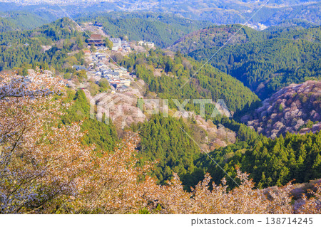 World heritage site in full bloom of cherry blossoms, Mt. Yoshino in the early morning World heritage site in full bloom of cherry blossoms, Mt. Yoshino in the early morning 138714245