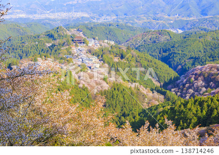 櫻花盛開的世界遺產,清晨的吉野山 櫻花盛開的世界遺產,清晨的吉野山 138714246