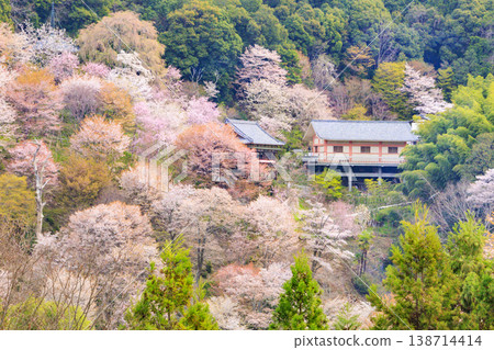 World heritage site in full bloom of cherry blossoms, Mt. Yoshino in the early morning 138714414