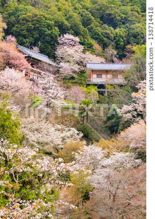 World heritage site in full bloom of cherry blossoms, Mt. Yoshino in the early morning 138714418