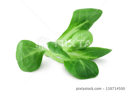 Valerian leaves salad. Corn salad isolated on white backgrounds. Lettuce salad. Valerian leaves salad. Corn salad isolated on white backgrounds. Lettuce salad. 138714500