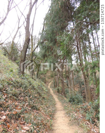 高見城遺址 - 女子之路 高見城遺址 - 女子之路 138714725
