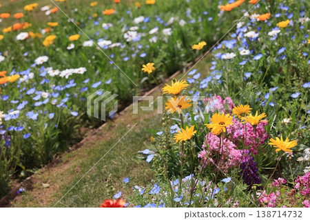 Flowers Flowers 138714732