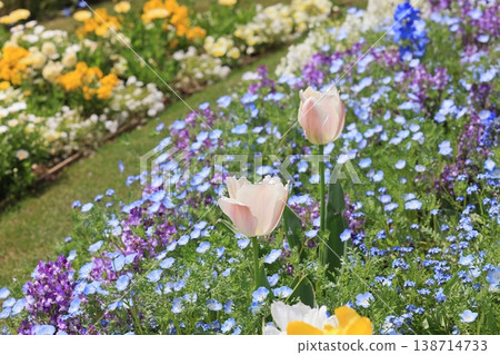 花 花 138714733