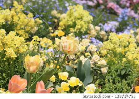 Flowers Flowers 138714755
