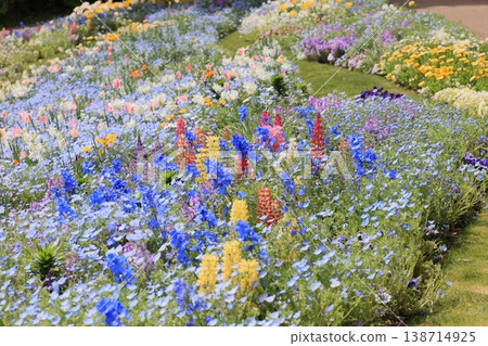 花 花 138714925