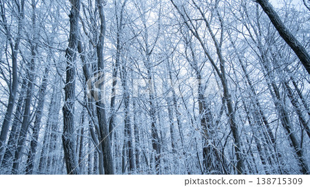 Taebaeksan 138715309