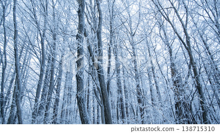 Taebaeksan 138715310