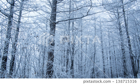 Taebaeksan 138715316