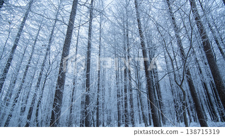 Taebaeksan 138715319