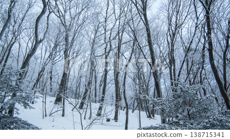 Taebaeksan 138715341