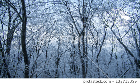 Taebaeksan 138715359