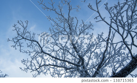 Taebaeksan 138715365