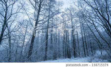 Taebaeksan 138715374