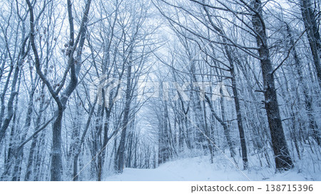 Taebaeksan 138715396