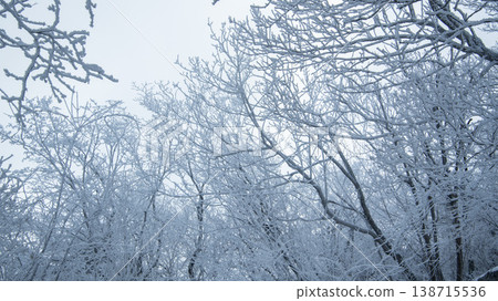 Taebaeksan 138715536