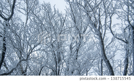 Taebaeksan 138715545