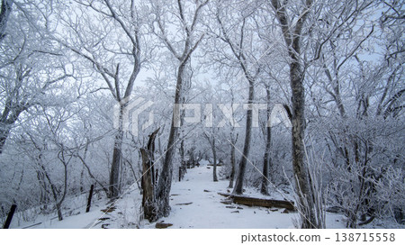 Taebaeksan 138715558