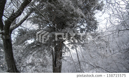 Taebaeksan 138715575