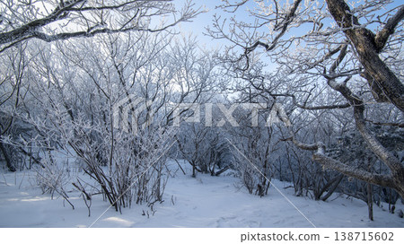 Taebaeksan Taebaeksan 138715602