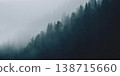 A moody forest landscape with dense fir trees 138715660