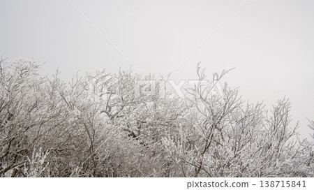 Taebaeksan 138715841