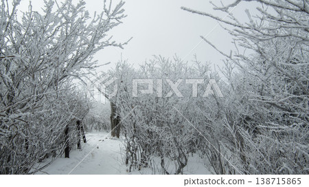 Taebaeksan 138715865