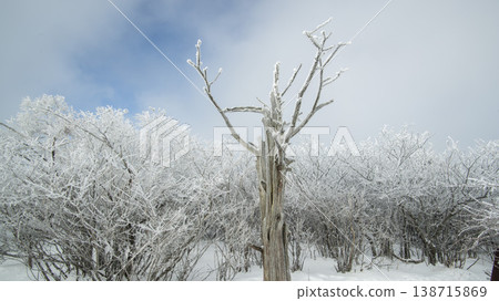 Taebaeksan 138715869