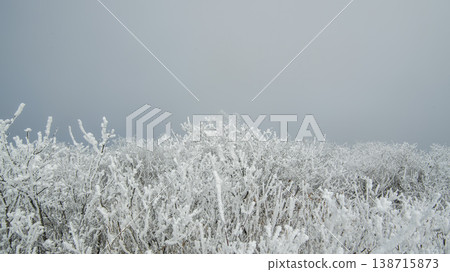 Taebaeksan 138715873