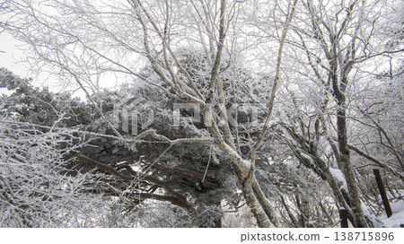 Taebaeksan 138715896