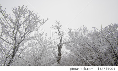 Taebaeksan 138715904