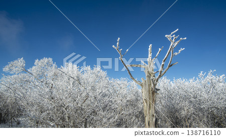 Taebaeksan 138716110