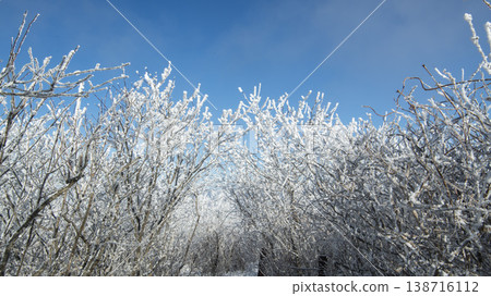 Taebaeksan 138716112