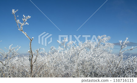 Taebaeksan 138716115