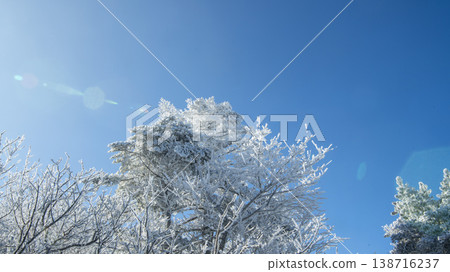 Taebaeksan 138716237