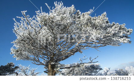 Taebaeksan 138716253